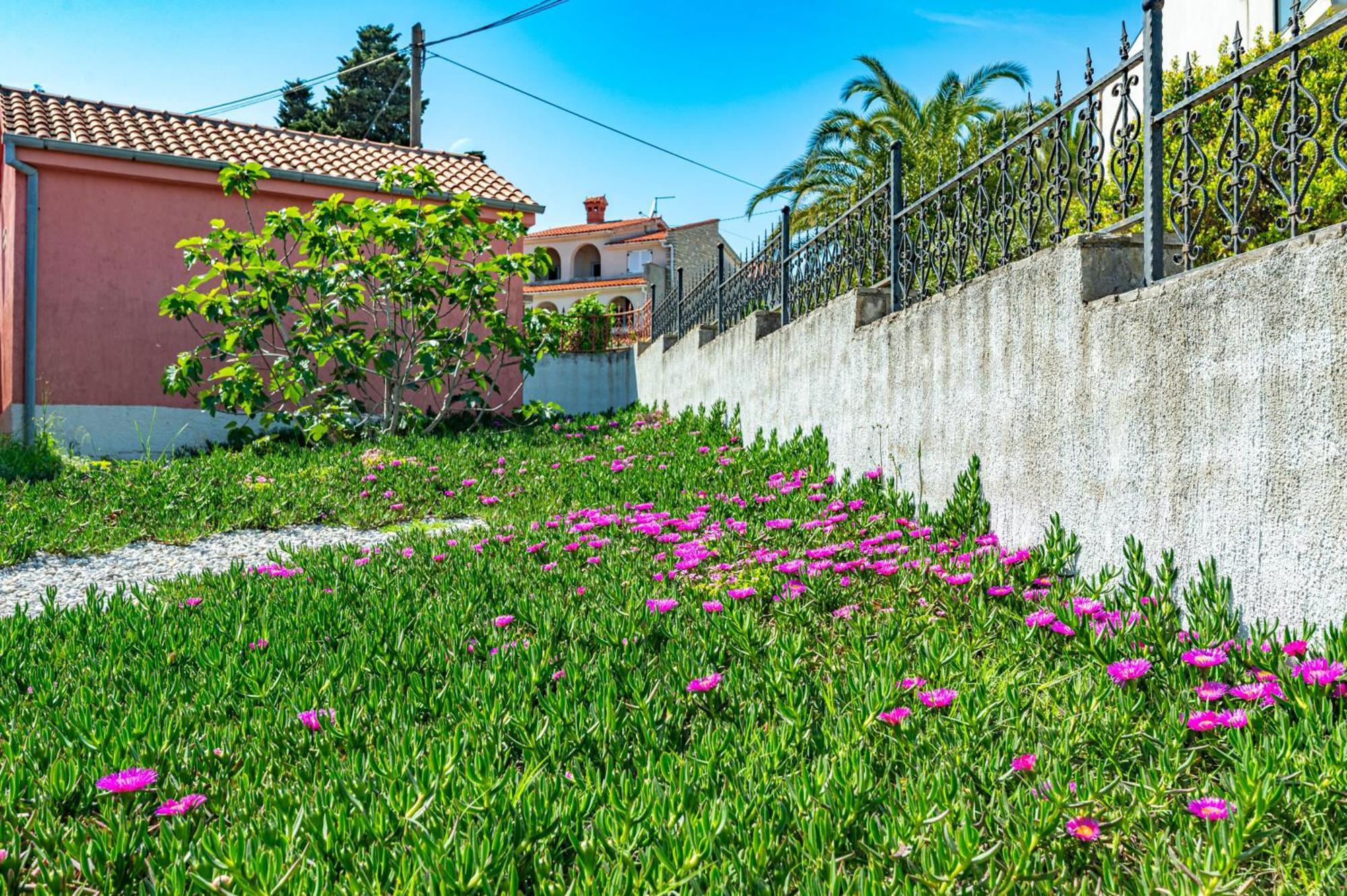 Villa Valentina Premantura Buitenkant foto
